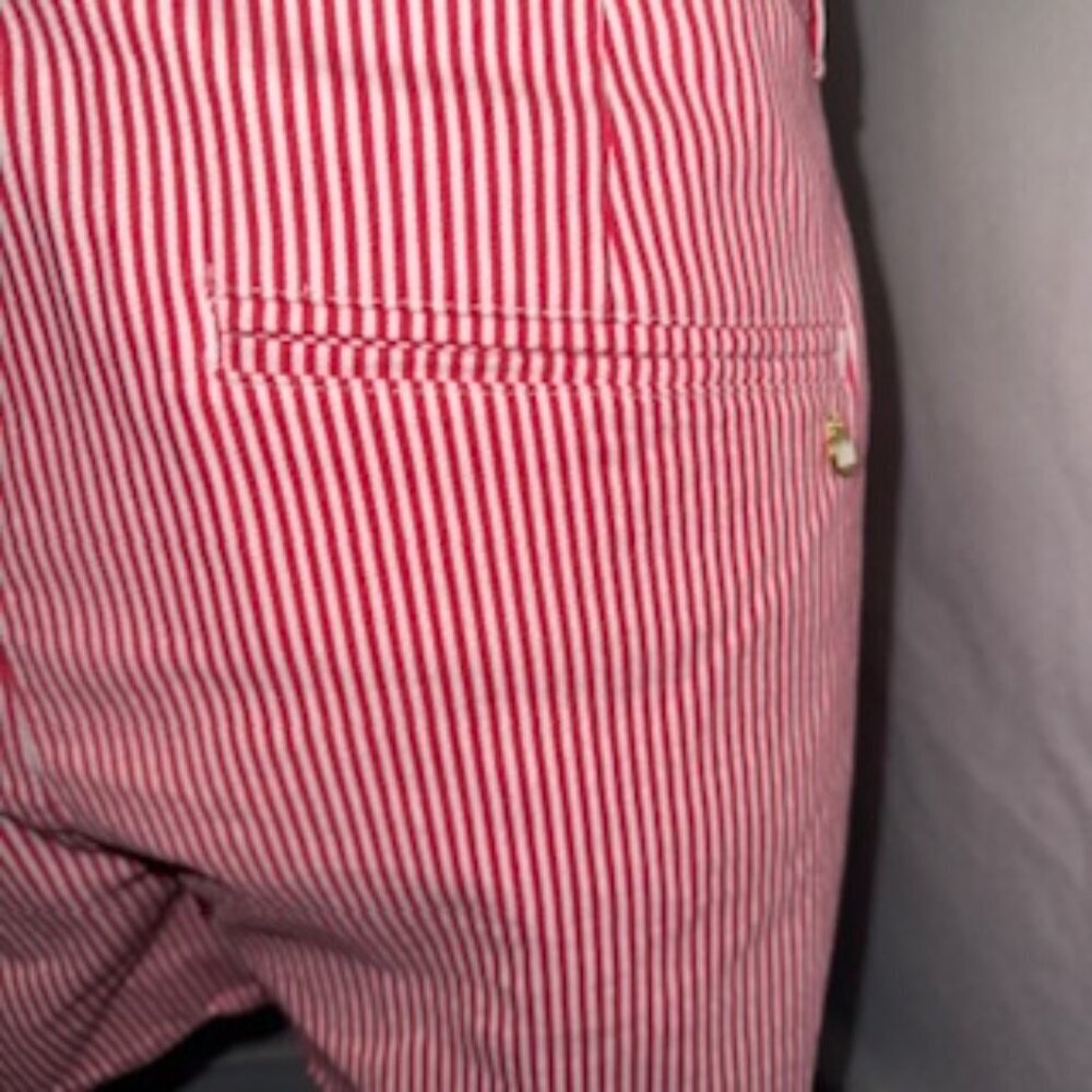 Crown & Ivy Ladies Watermelon and white striped shorts size 14 NWT. 4” inseam. S - Picture 8 of 12